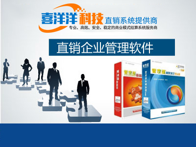 軟件開發、技術開發與制度設計在企業營銷策劃中的集成應用咨詢