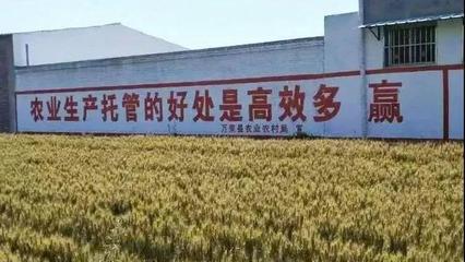 農業托管模式再啟新篇 45億補貼落地，六成紅利直抵農民腰包
